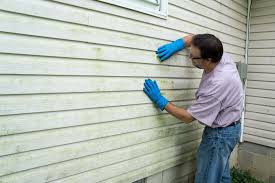 Best Storm Damage Siding Repair  in Aurora, TX